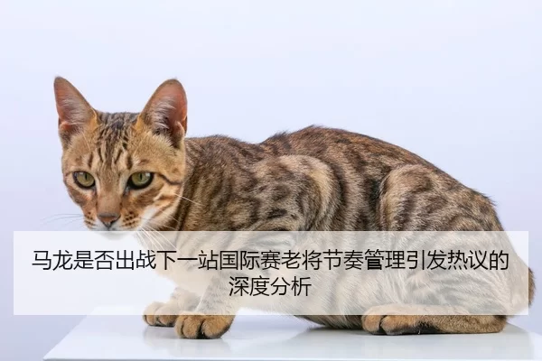 ma-long-shi-fou-chu-zhan-xia-yi-zhan-guo-ji-sai-lao-jiang-jie-zou-guan-li-yin-fa-re-yi-de-shen-du-fen-xi-2-568.jpg
