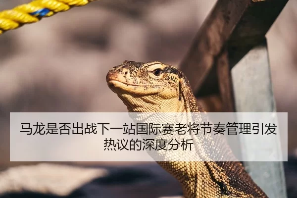 马龙是否出战下一站国际赛老将节奏管理引发热议的深度分析